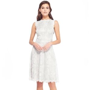 Tadashi Shoji Silver Pandora Embroidered Dress 12